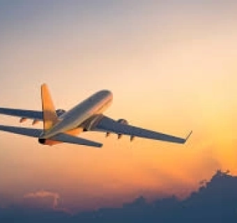 Vận chuyển cua đi xa - Dịch vụ giao cua trong ngày đảm bảo bởi FVG